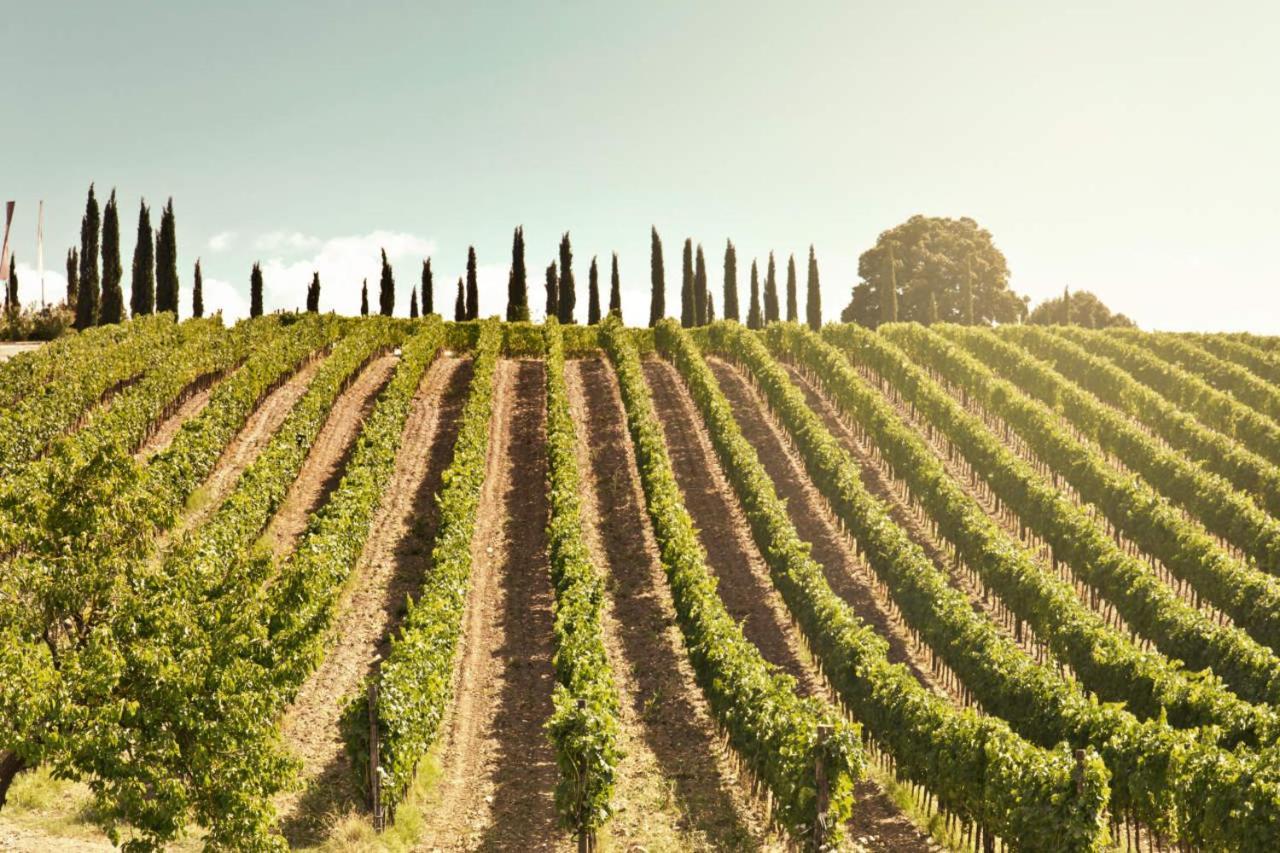 Corte Francigena มอนตาลชิโน ภายนอก รูปภาพ
